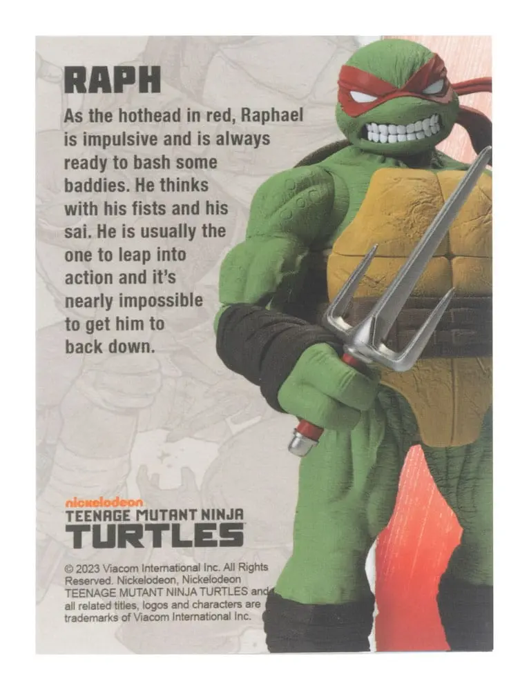 Teenage Mutant Ninja Turtles BST AXN akcijska figura Raphael (IDW Comics) 13 cm fotografija izdelka