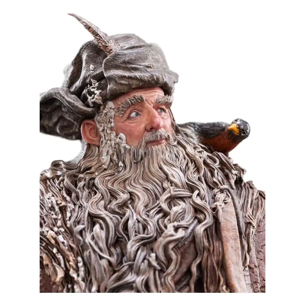 The Lord of the Rings Kip 1/6 Radagast 30 cm fotografija izdelka