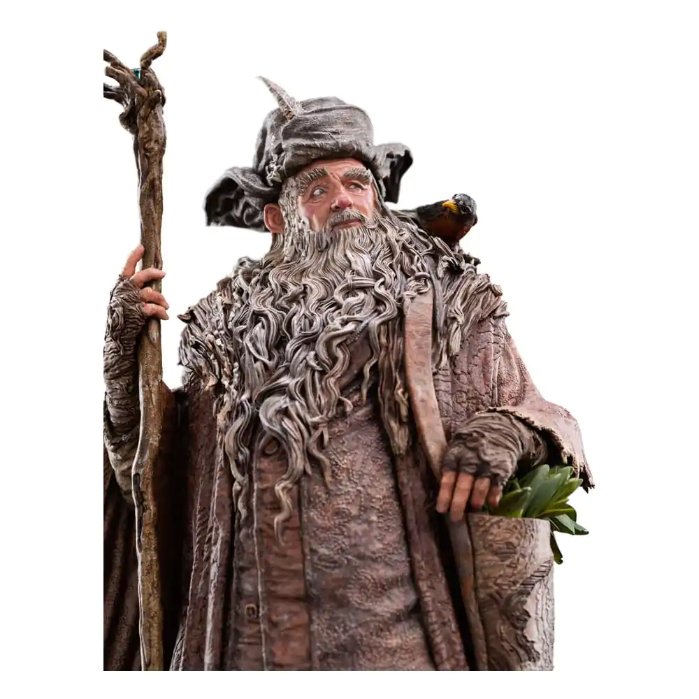 The Lord of the Rings Kip 1/6 Radagast 30 cm fotografija izdelka