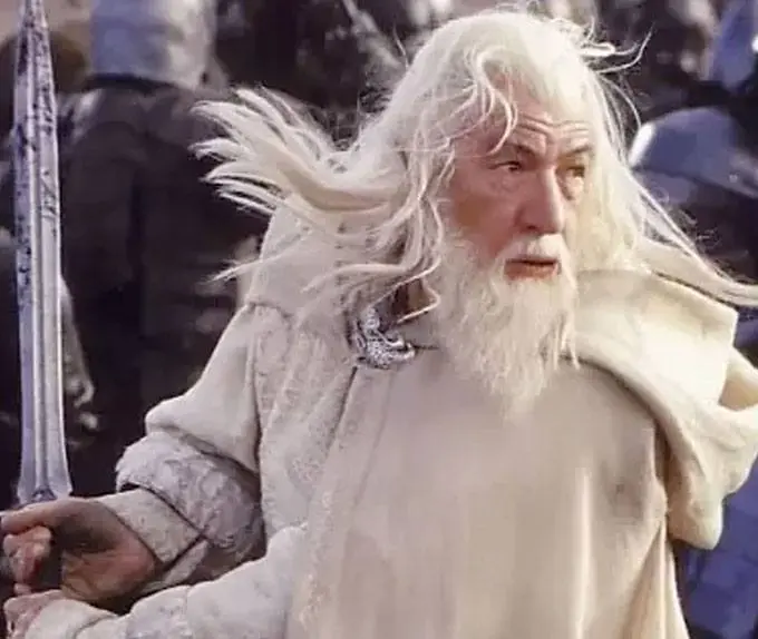 The Lord of the Rings Figures of Fandom PVC kip Gandalf the White 23 cm fotografija izdelka