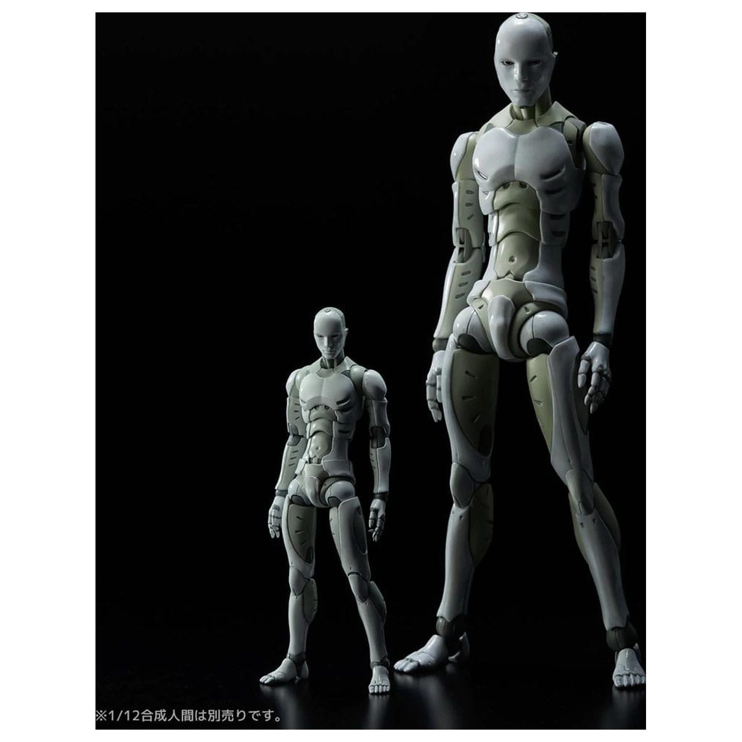 Toa Heavy Industries akcijska figura 1/6 sintetični človek 30 cm fotografija izdelka