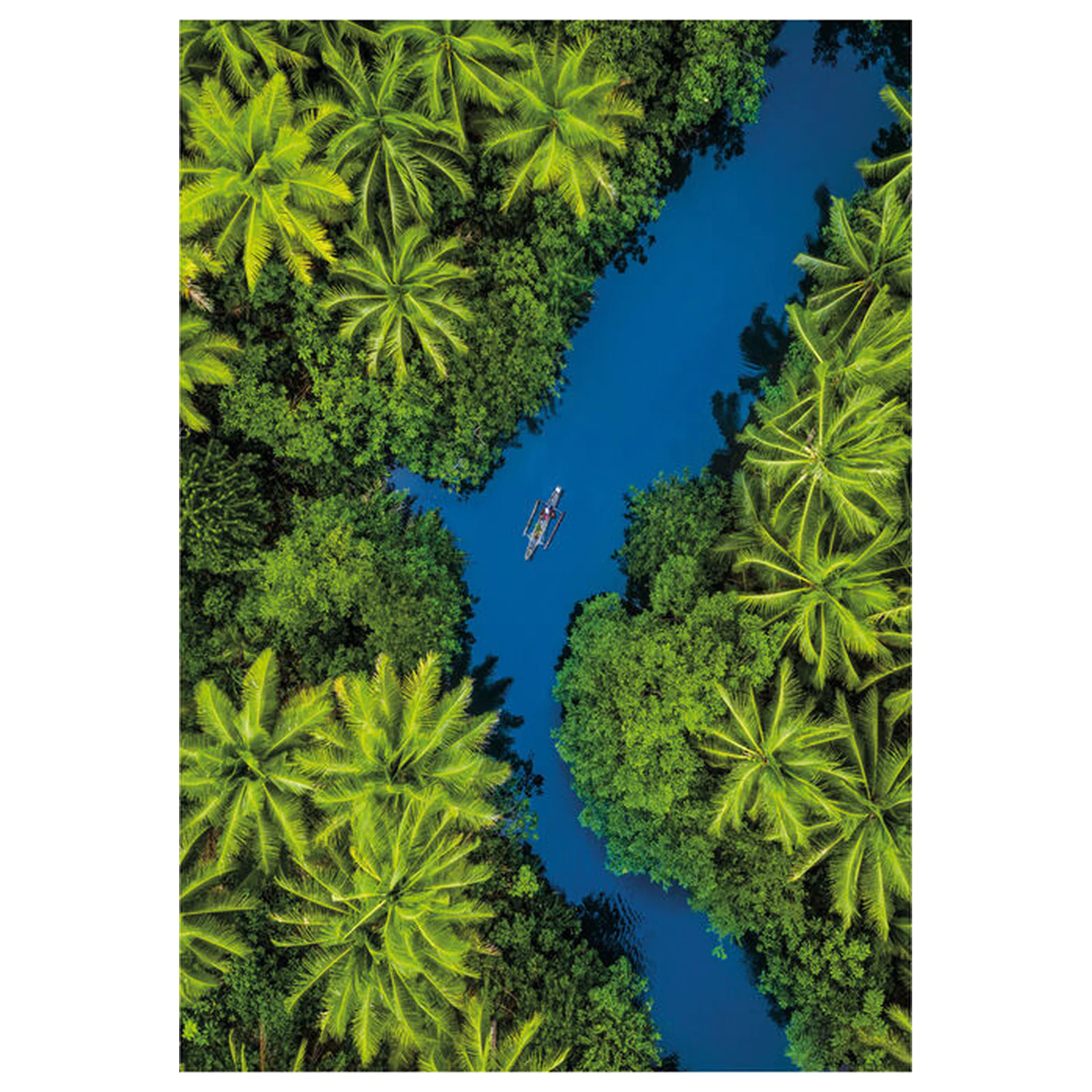 Tropical Aerial View sestavljanka 500pcs fotografija izdelka