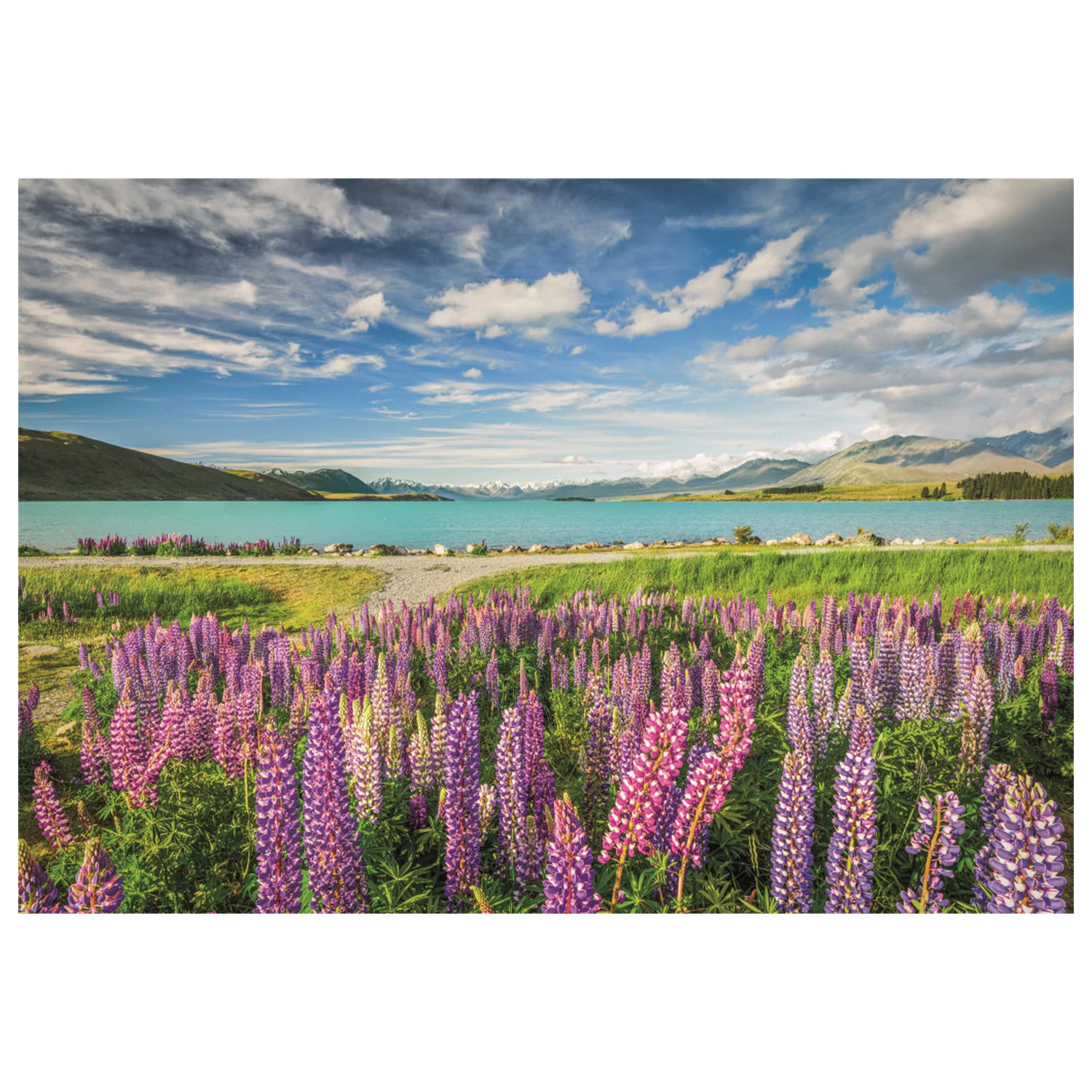 New Zealand Lake Tekapo 1500-delna sestavljanka fotografija izdelka