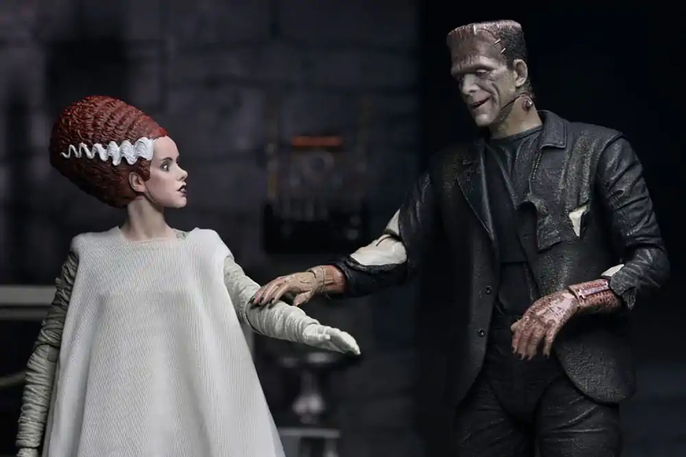 Universal Monsters Action Figures 2-pak Bride of Frankenstein 90th Anniversary The Monster & His Mate 18 centimetrov fotografija izdelka