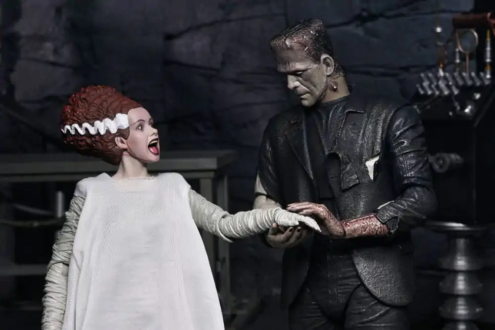 Universal Monsters Action Figures 2-pak Bride of Frankenstein 90th Anniversary The Monster & His Mate 18 centimetrov fotografija izdelka