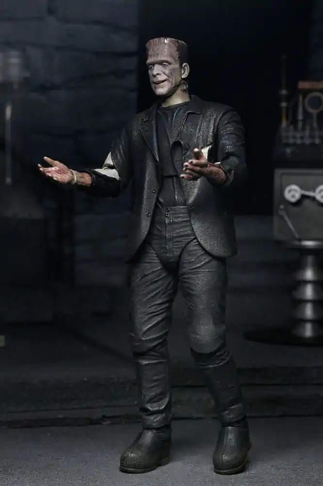 Universal Monsters Action Figures 2-pak Bride of Frankenstein 90th Anniversary The Monster & His Mate 18 centimetrov fotografija izdelka