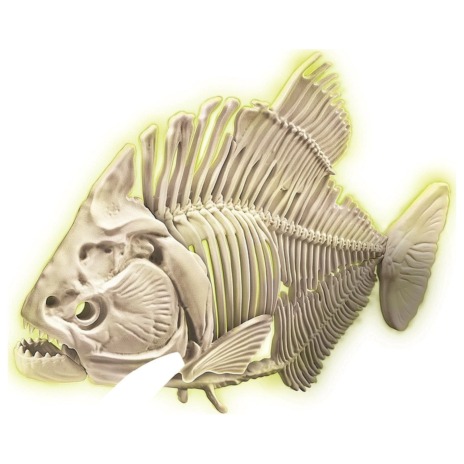 Glowing Piranha Archeo Zabaven arheološki komplet fotografija izdelka