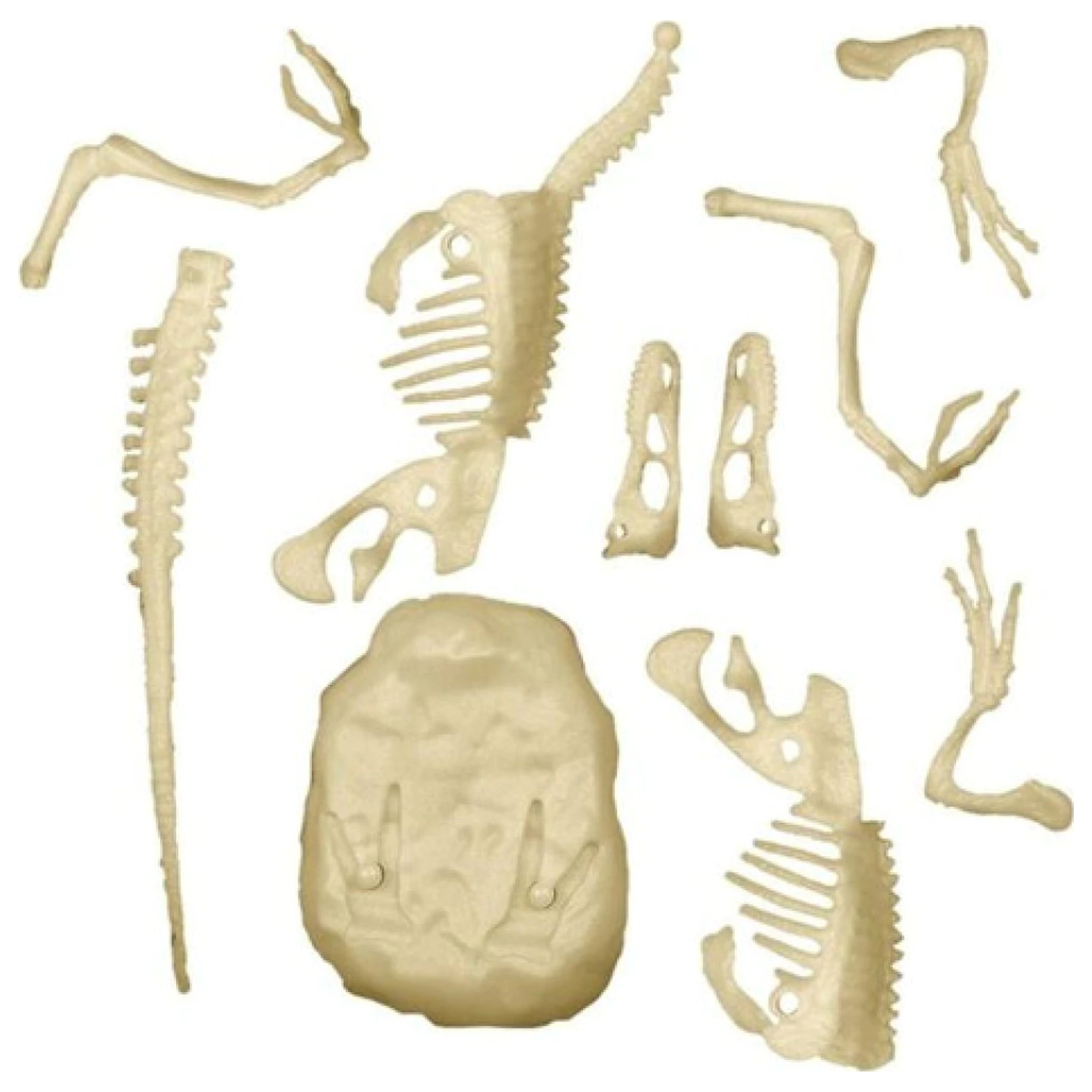 Light-Up Velociraptor Archeo Fun Set za arheologijo fotografija izdelka