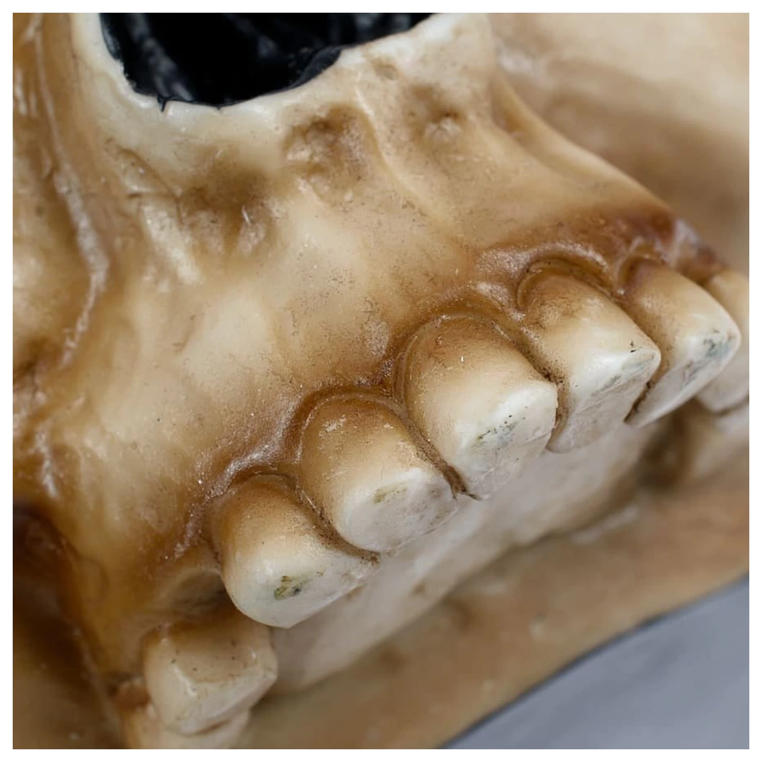 Warhammer 40,000 skodelica Servo Skull fotografija izdelka