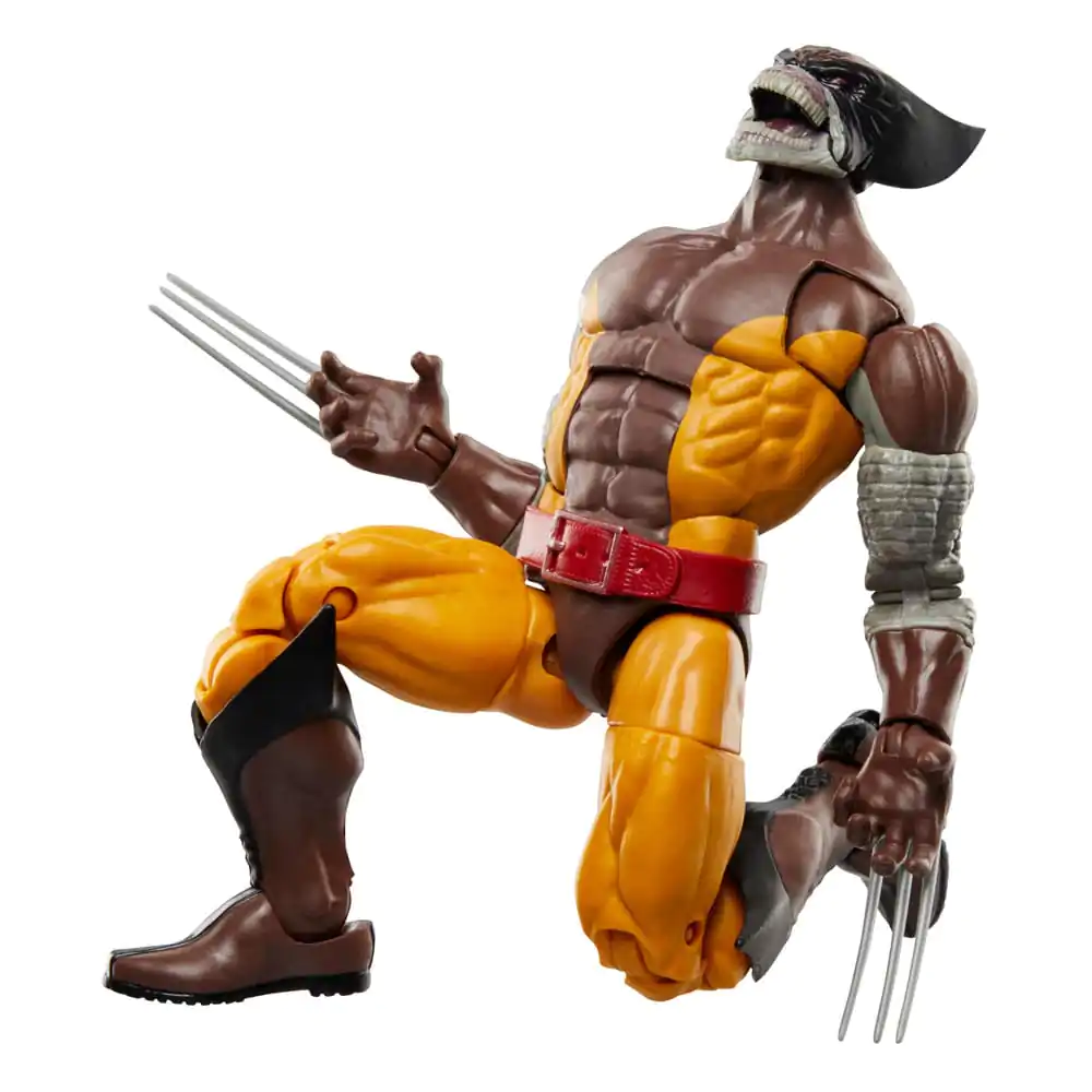 Wolverine 50. obletnica Marvel Legends akcijska figura 2-Pack Wolverine & Lilandra Neramani 15 cm fotografija izdelka