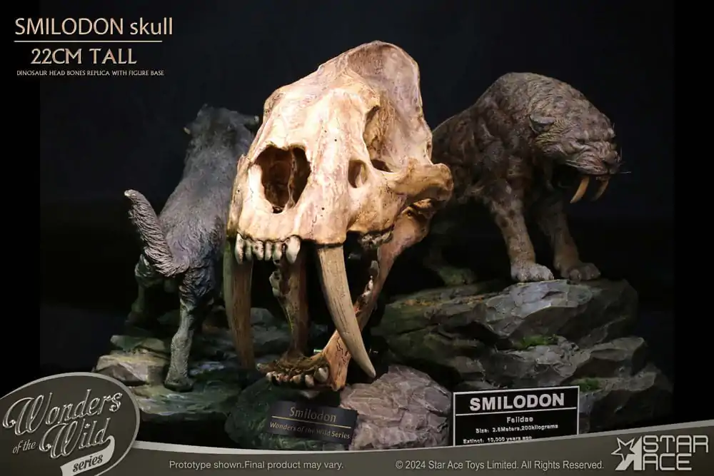 Wonders of the Wild Series Kip Smilodon Skull Fossil 22 cm fotografija izdelka