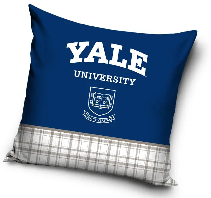 Yale Prevleka za vzglavnik 40*40 cm fotografija izdelka