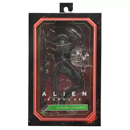 Alien Romulus Scorched Xnomorph Ultimate figura 23 cm termékfotója