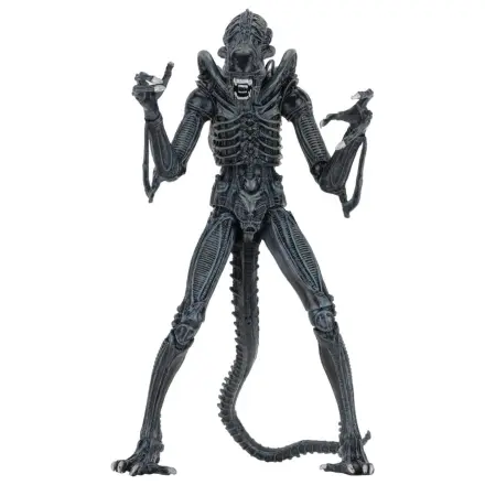Aliens Ultimate Action Figure Warrior (1986) moder 23 cm fotografija izdelka
