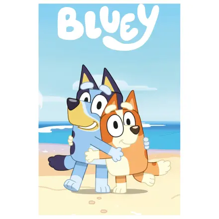 Bluey udobna flis odeja fotografija izdelka