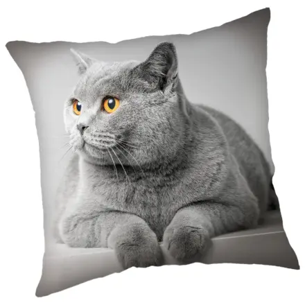 Cats Siva Prevleka za blazino fotografija izdelka