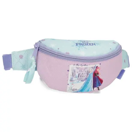 Disney Frozen In This Together torbica za pas fotografija izdelka