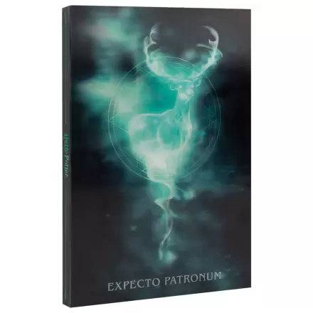 Harry Potter A5 lečast zvezek fotografija izdelka