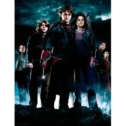 Harry Potter Group steklena slika fotografija izdelka