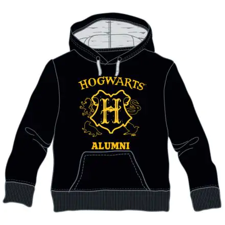 Harry Potter Hogwarts Alumni otroška hoodie termékfotója