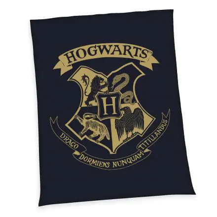 Harry Potter Fleece Odeja Hogwarts 150 x 200 cm termékfotója