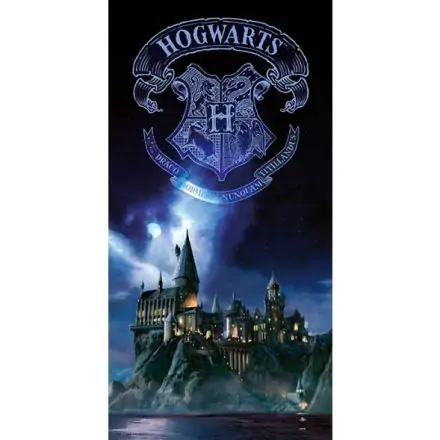 Harry Potter Hogwarts stekleni poster fotografija izdelka