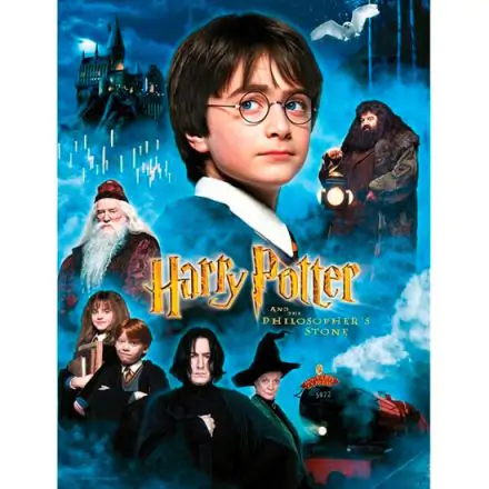 Harry Potter Philosophers Stone stekleni poster fotografija izdelka