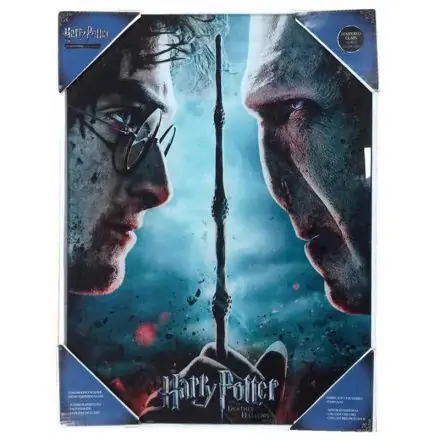 Harry Potter vs Voldemort stekleni poster fotografija izdelka