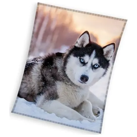 Husky flis odeja fotografija izdelka