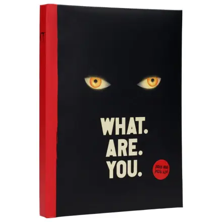 IT zvezek z lučko Kaj si ti fotografija izdelka