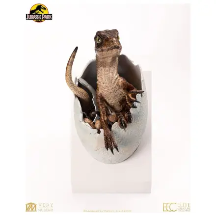 Jurassic Park Replica Poprsje Velociraptor Izvalitev jajca 24 cm fotografija izdelka
