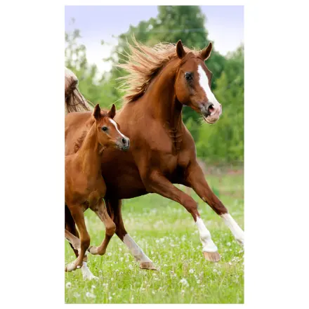 Lovas Career brisačka za roke, brisača za obraz, brisača fotografija izdelka