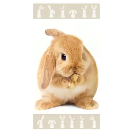 Bunny brisača za kopanje, brisača za plažo 70*140 cm fotografija izdelka